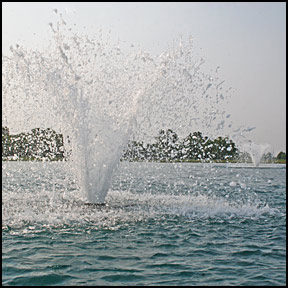 pond pumps